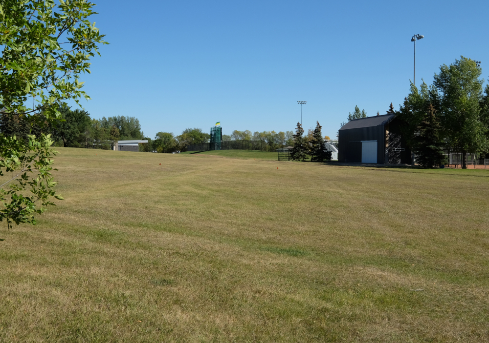 An image of P3A's Regina Ladies’ Softball Association project.